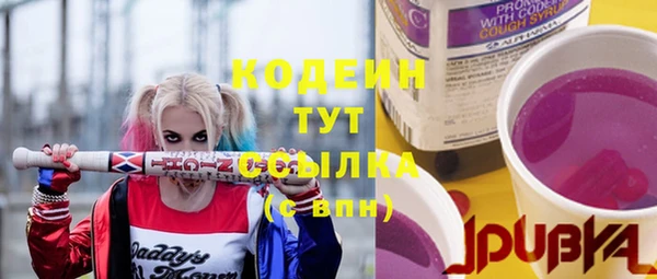 стафф Верхний Тагил
