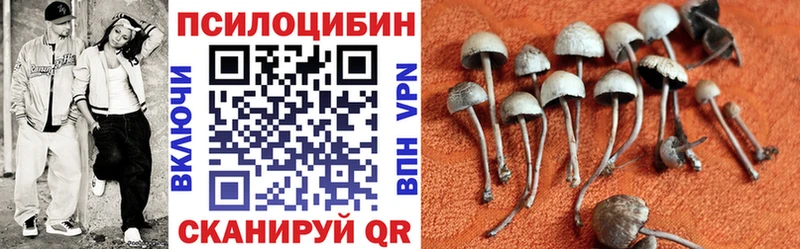 Псилоцибиновые грибы мицелий Верхний Тагил